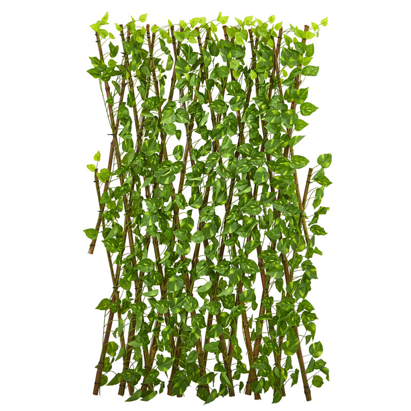 47 po Clôture extensible Pothos résistante aux rayons UV et imperméable