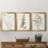 " Neutral Botanical Study IV " 3 - Pieces-1985761738-1985761733