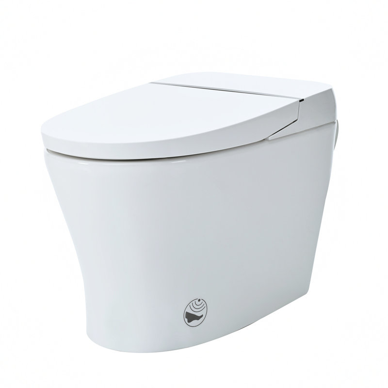 Creationstry GPF Elongated Floor Mounted Bidet Toilet (Seat Included)
