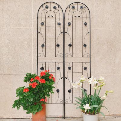Versatile Metal Trellis For Outdoor Plants, Enhancing Garden Beauty