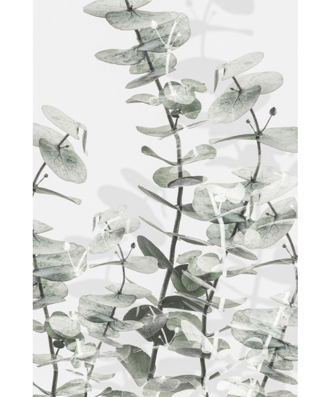 Wrapped Canvas Print, 81.28cm H x 121.92cm W