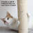 PETMAKER Cat Scratcher for Indoor Cats, Black