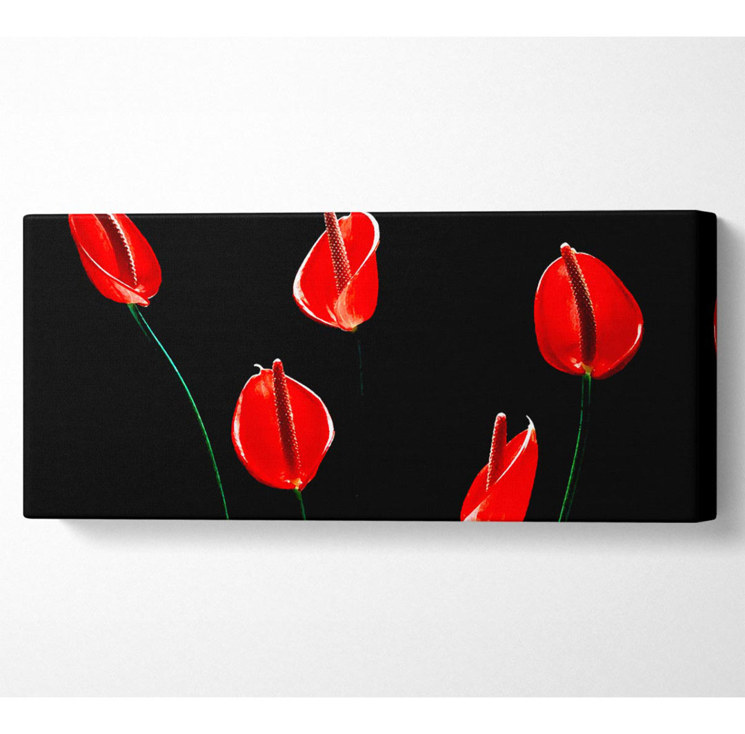 Beatiful Red Night Flowers - Kunstdrucke auf Leinwand