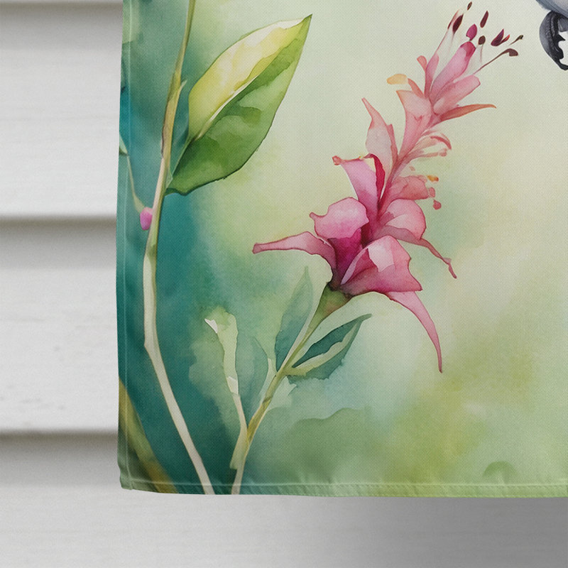 House Flag, Broadtailed Hummingbird