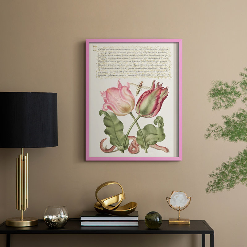Hoefnagel Tropical Specimens X Framed Print - Solid Wood, 15" H x 12" W, Pink