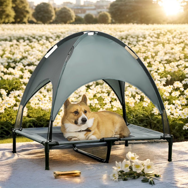 Lit pour chien surélevé de 48 po avec surmatelas amovible, H 35,5 po x l 36,25 po x P 30 po