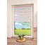 Room Darkening-1950971250-1950972567
