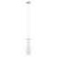 Catlett 1 - Light Chrome Cylinder Pendant