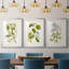 Arbre en fleurs I - reproduction sur mesure encadrée de qualité supérieure mate - 3 pièces-772769727-772769722