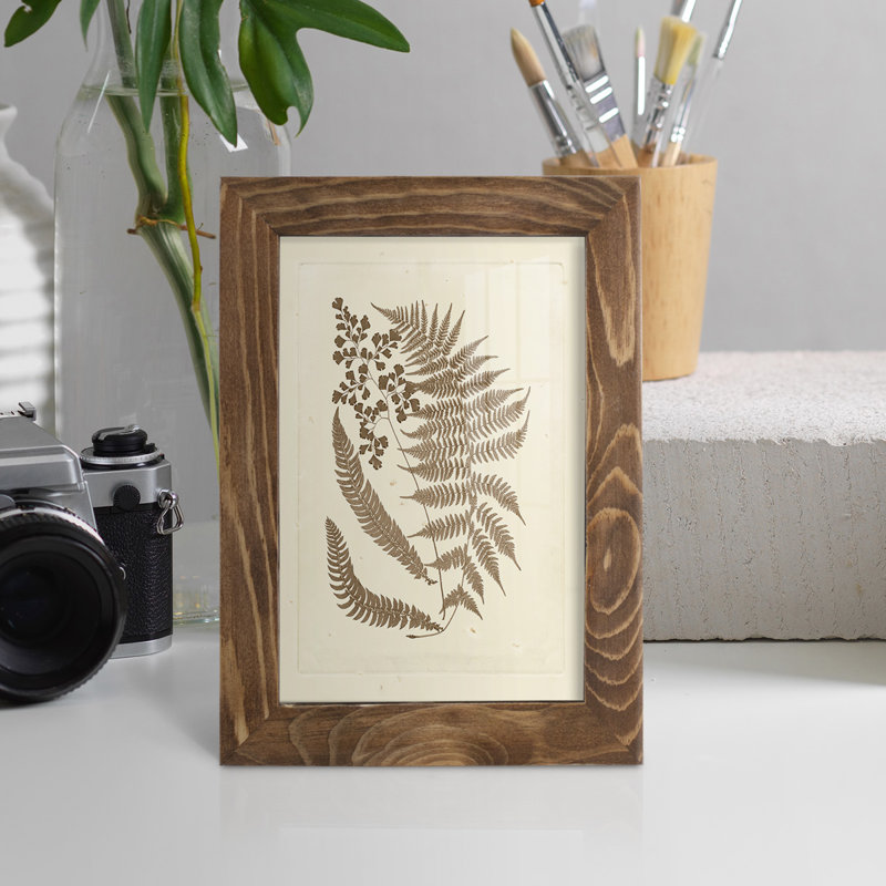 Meggan Sepia Ferns III, reproduction d'art encadrée, L 4 po x H 6 po x P 1 po, Noyer