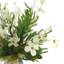 Arrangement Racine Dogwood