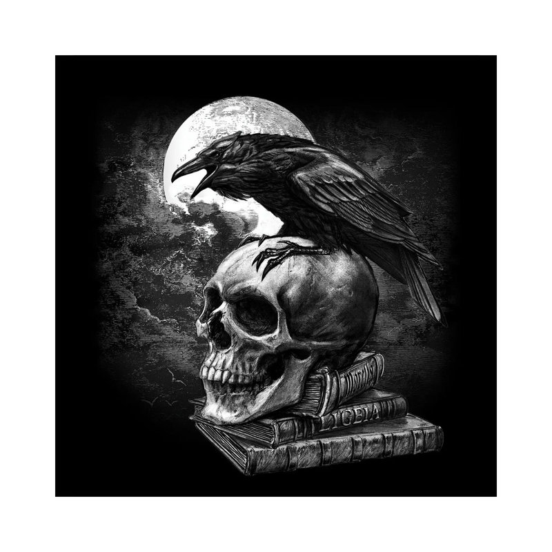 Poe's Raven - reproduction d'art sur toile tendue