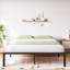 Metal Bed-821745345