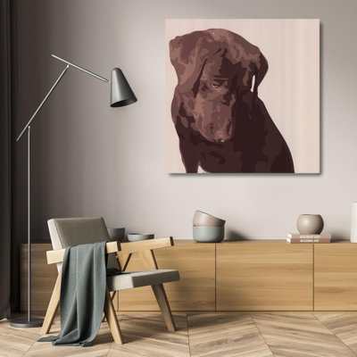 Chocolate Labrador