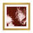 Gold Framed Paper is unavailable