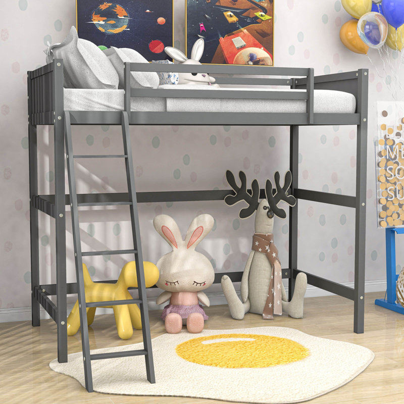 Danitra Kids Twin Loft Bed, Gray