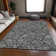Premium Machine Washable Prisco Black Rug