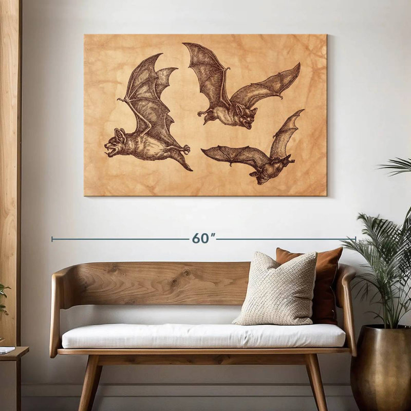 Chauves-souris Brampt, H 32 po x l 48 po
