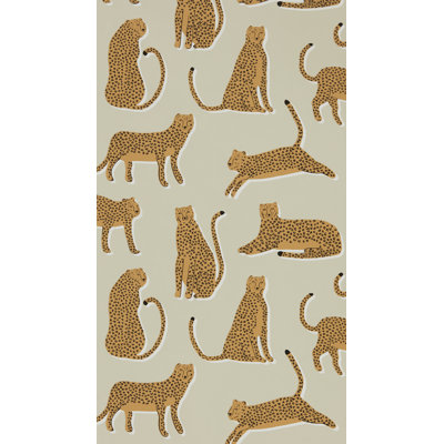 10.05m x 52cm Matte Wallpaper Roll
