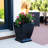 Myung Pot Planter-28914479-28914476-66402028