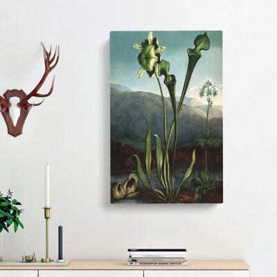 Bog Plants by R.J. Thornton - Wrapped Canvas Painting