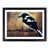 Black Framed selected