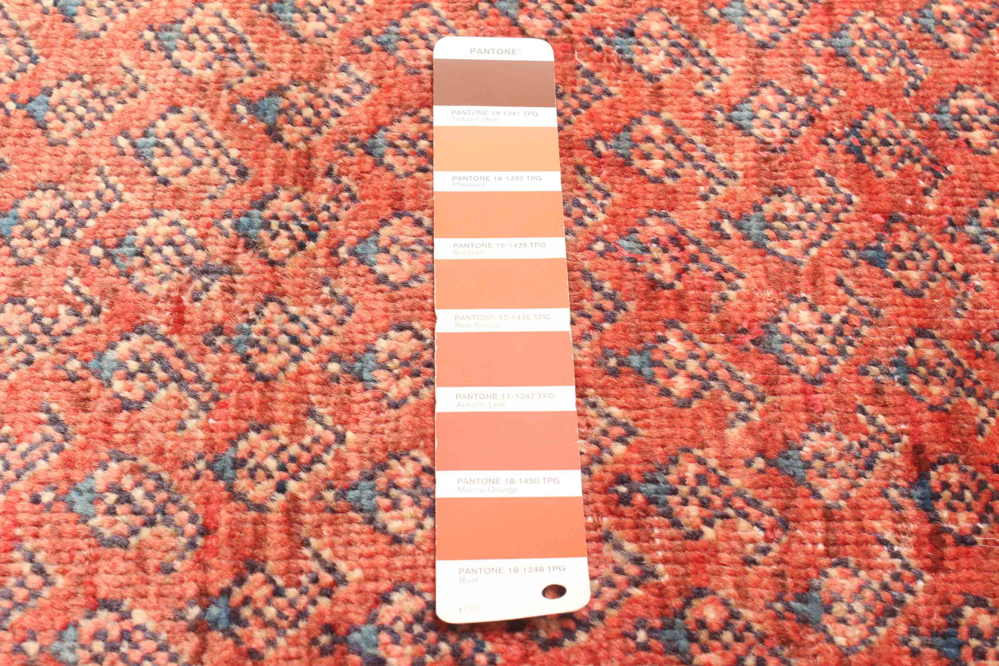 Bloomsbury Market Andelz Copper Rug 2'6