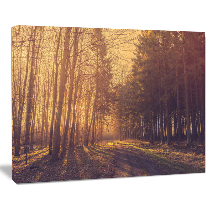 Forêt de pins par Road - reproduction de photo sur toile, H 30 po x l 40 po x P 1 po