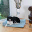 Coussin de lit Armarkat D08B-56837799