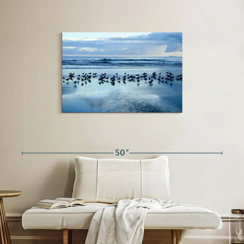 Gillard Las Lajas Beach Gulls