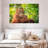 Leaf Munching Orangutan-107924155