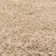 Beatty Solid Colour Shag Area Rug