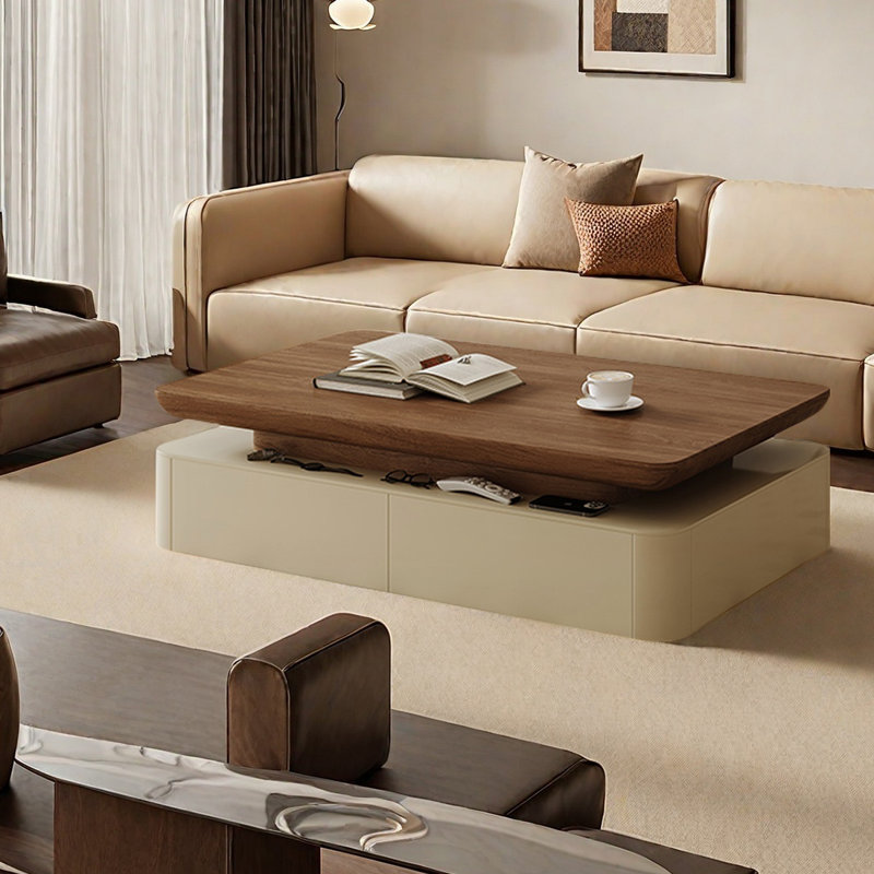 Table basse moderne avec rangement Modern