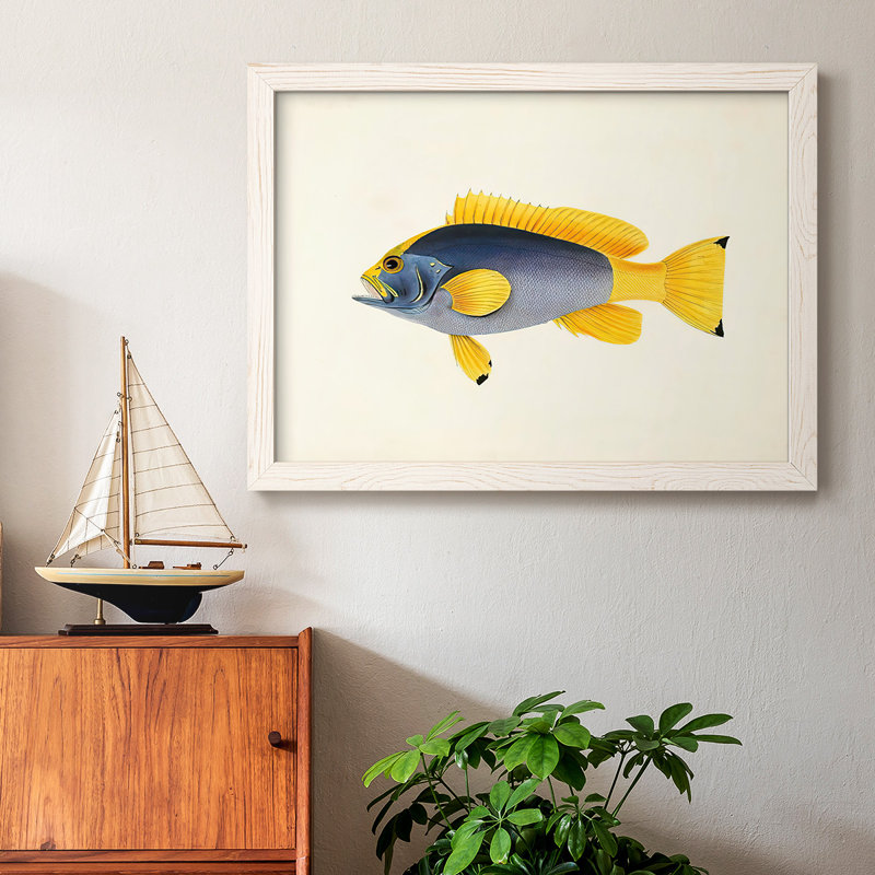 Collection de poissons tropicaux - Toile tendue avec châssis rustique - 2778376, Blanc, H 14 po x l 20 po