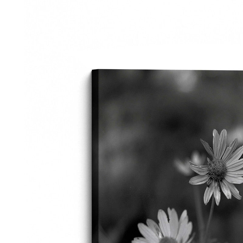 «Black Eyed Susans» par Tony Smith, reproduction d'art sur toile, H 18 po x l 12 po
