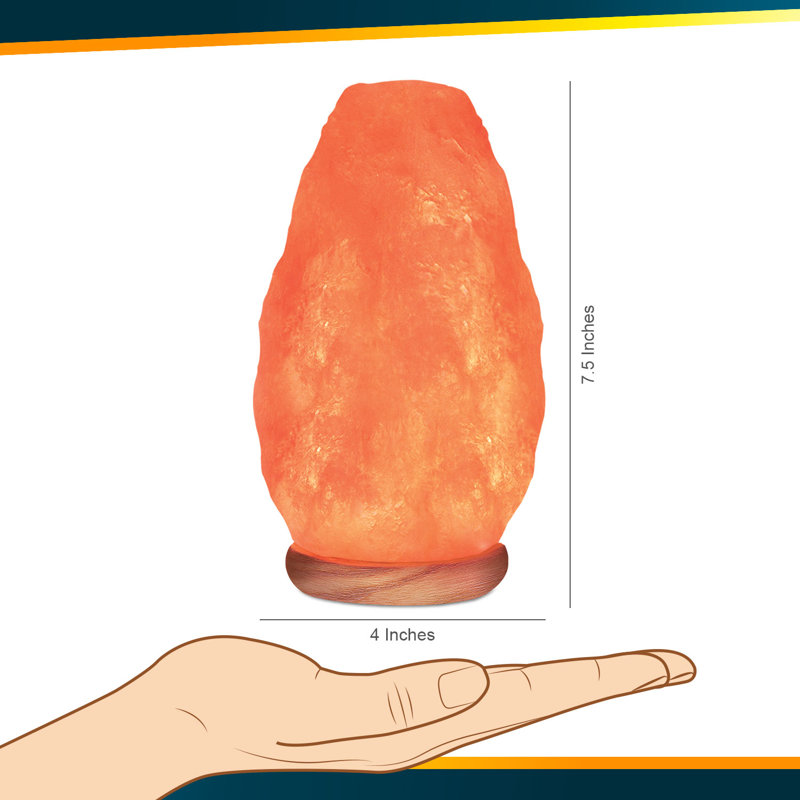 Lampe de sel rose de l'Himalaya homologuée ETL de 6 à 8 lb avec gradateur tactile, H 8,25 po x l 4,75 po x P 4,75 po