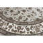 Oriental Area Rug in Taupe/Ivory