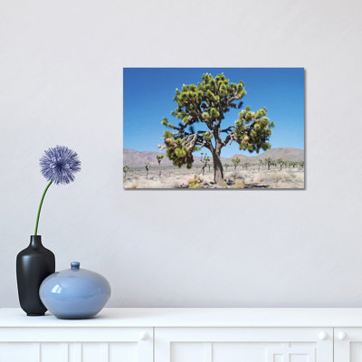 Joshua Tree 1 Piece Wrapped Canvas Wall Art