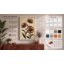 Three Daisy Studies Botanical - Wrapped Canvas-383238763-383238807