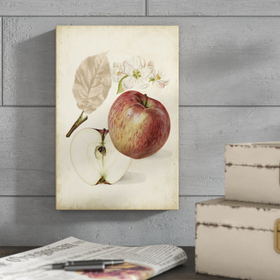 Harvest Apples II by Heinrich Pfeiffer - Wrapped Canvas Painting Print
