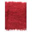 Tapis rouge Orpheus