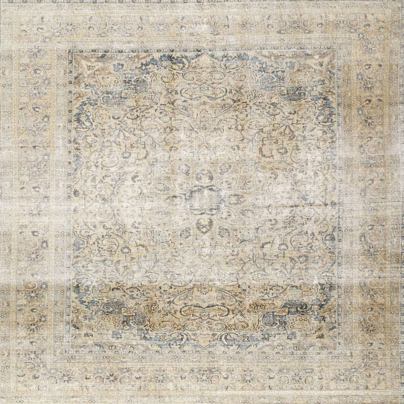 Mackie Oriental Indoor Rug, Round 3'