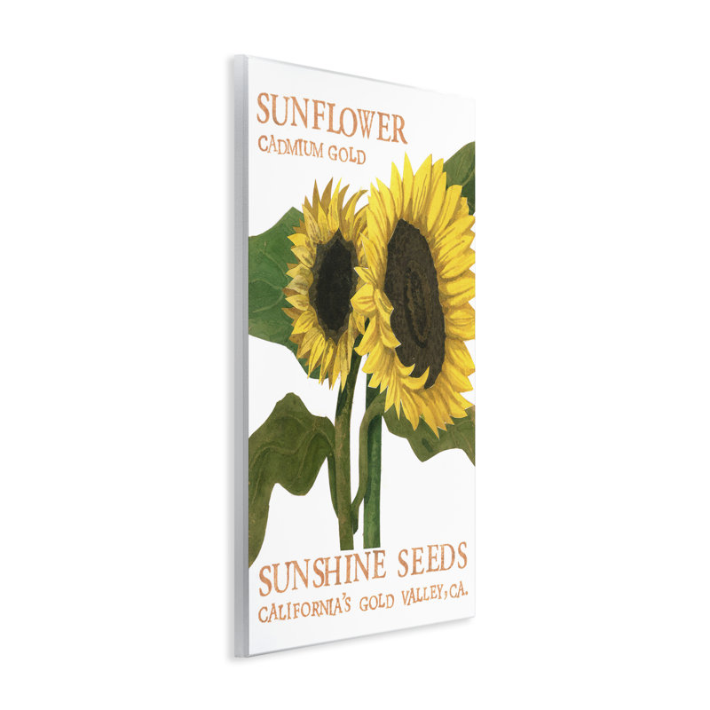 «Sunflower Seeds Design» par Nancy Overton, H 15 po x l 10 po