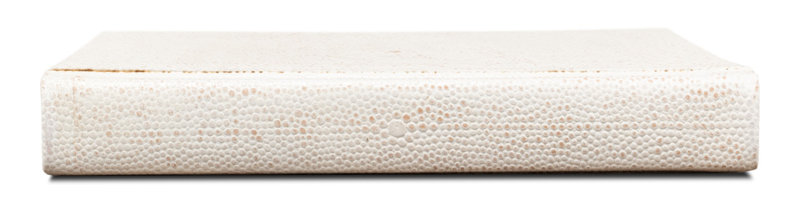 Shagreen Hand Painted Sports Decorative Book, White