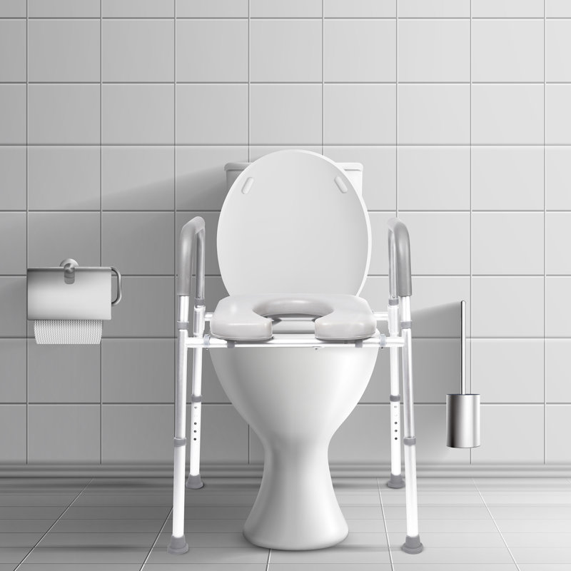 Raised Toilet Seat