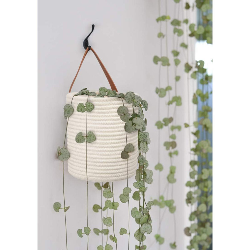 2Pack corde suspendue panier rond paniers suspendus rangement pour lunettes de soleil clés porte-monnaie moderne paniers tissés décoration murale pour panier de coton plante
