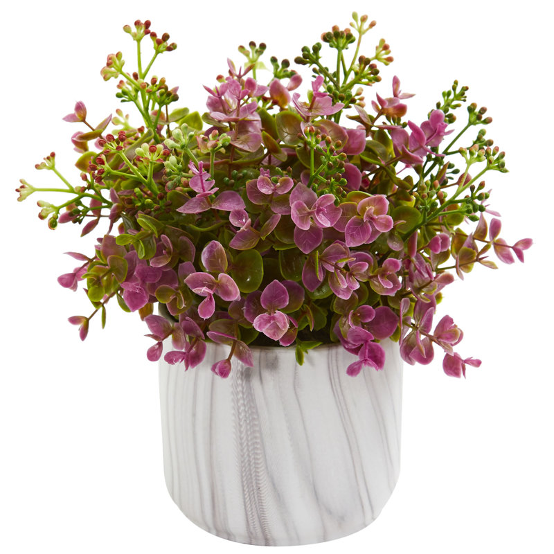 Eucalyptus plante en vase, Mauve