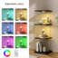 Display Cabinet-707977396