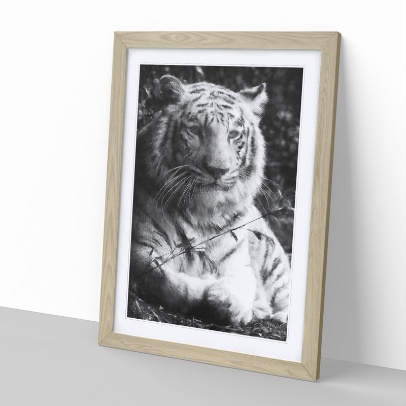 Tiger Vol.3 - Picture Frame Graphic Art, 36cm H x 27cm W x 2cm D, Oak