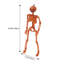Halloween Decorative Accent-6723307